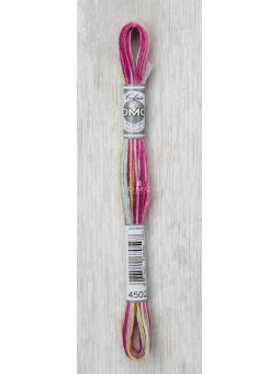 Fil à broder Mouliné coloris spécial