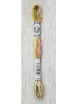 Fil à broder Mouliné coloris spécial