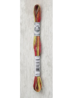 Fil à broder Mouliné coloris spécial