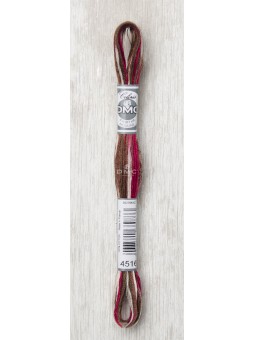 Fil à broder Mouliné coloris spécial